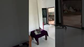 بزمجه ۱ متری سریلانکایی آمد داخل خانه