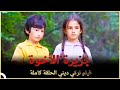 جزيرة الأخوة | فيلم عائلي تركي الحلقة الكاملة (مترجمة بالعربية)