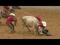 Wild Cow Milking - 2019 (32nd) Coors Cowboy Club Ranch Rodeo (Saturday)