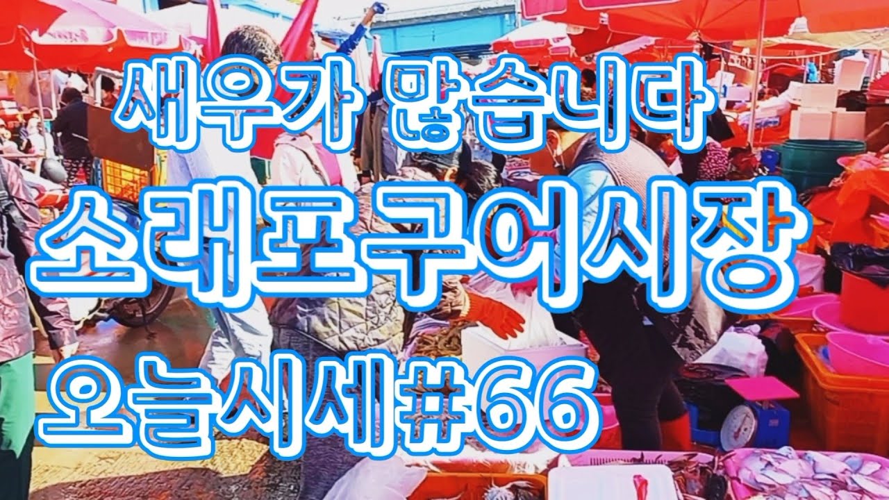 알림니다(To notify) -소래포구어시장오늘시세#66(Soraepogu Fish Market Today’s Price #66)