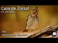 Caza de Zorzal 17-10-2020. Poca marcha...