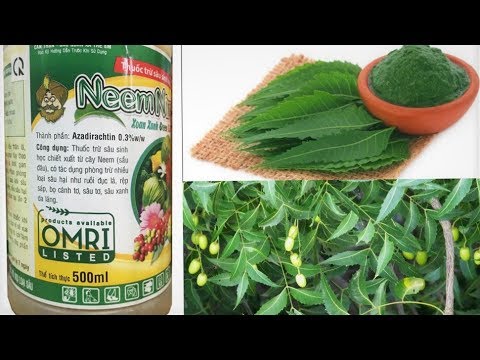 ninh-thuan-neem---friendly-effects-of-disease-and-agriculture