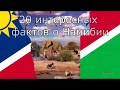 20 интересных фактов о Намибии