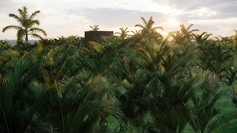 Quick test : Globeplants Enscape asset