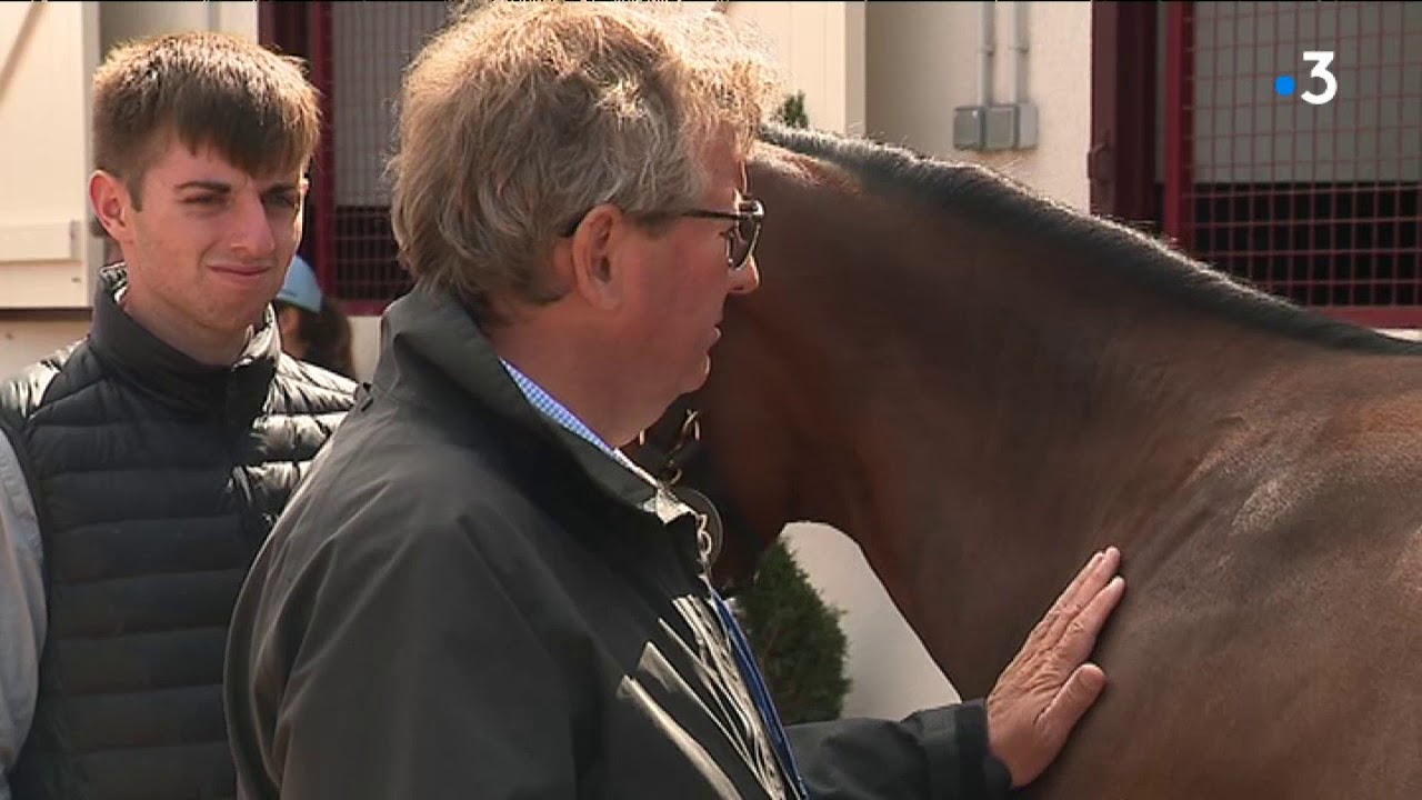 Vente de Yearlings Deauville août 2019