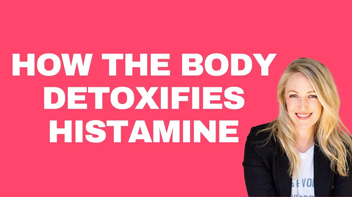 How the Body Detoxifies Histamine - DAO & HNMT (Methylation) Explained