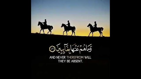 تلاوة رائعة تريح القلب💜