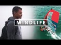 Windlife  lohan jules