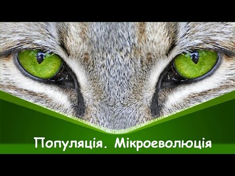 Популяція, її характеристики