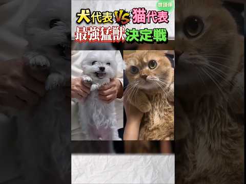 怖すぎて笑ってしまう猛獣大戦