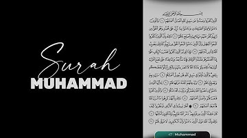 Surah Muhammad سورة محمد - Sheikh Saad Al Ghamdi
