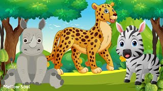 Discover Amazing familiar animals life: rhino, cheetah, zebra, giraffe, deer, owl