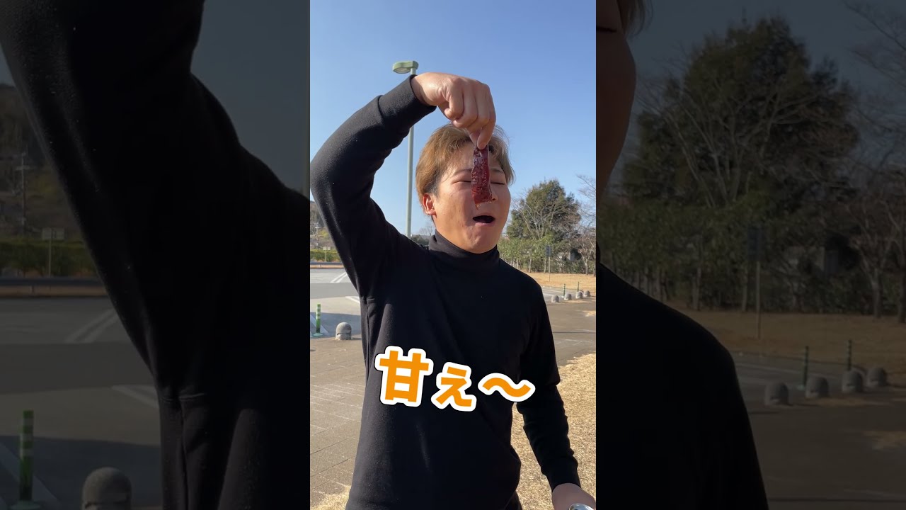 ト*ト様 【世界限定60台】Fish Ciurcuits Exploration 世界限定60台】Fish Ciurcuits Exploration #1