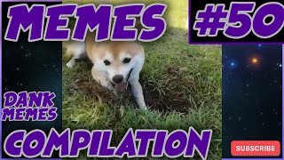 My video Dank MeMeS #50 | by MeMeBoy | #memes #memeboy