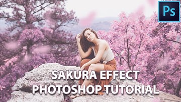How To Create Sakura Colour Effect | Photoshop Tutorial