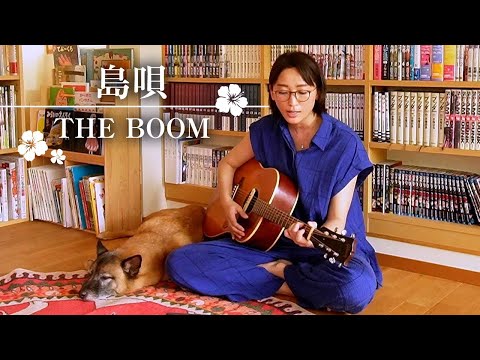 島唄/THE BOOM（cover）