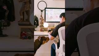 Life as an Indie Animation Director