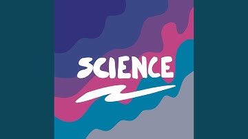 React? Vue? Angular?