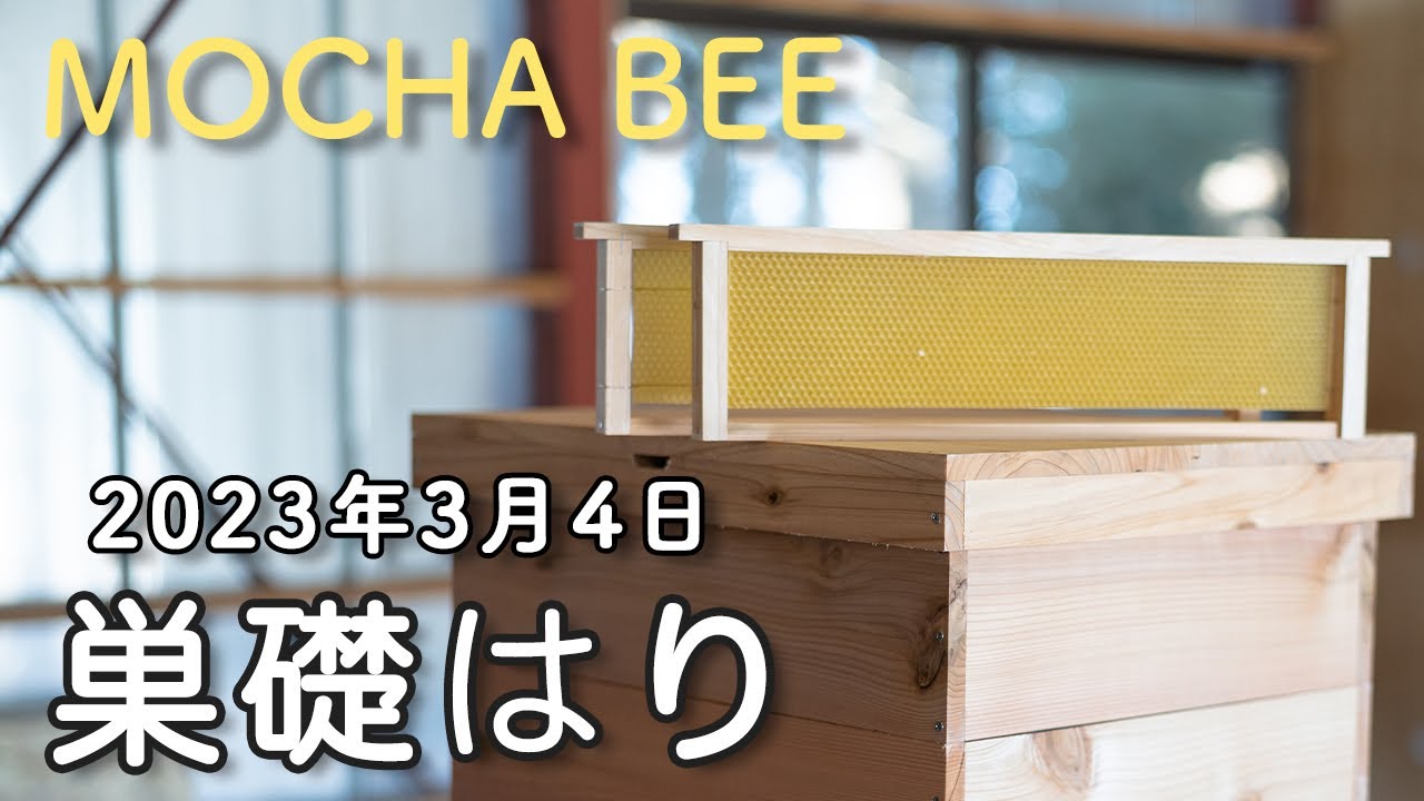 春の準備！小屋で巣礎はり作業【2023年3月4日】養蜂／岩手県／東北