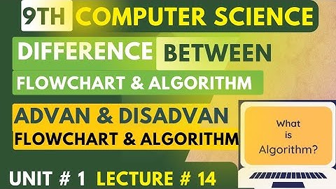 Efficiency of Algorithms | Difference |Advantages and Disadvantages | 9th computer science chap 1