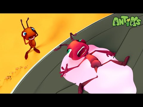 s*i様 正月セール！DeliciousTaylormade The ANTアン hqdefault.jpg