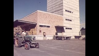 VLG Bern – Die Wirtschaftsorganisation der Bauern (Schweiz, 1972)