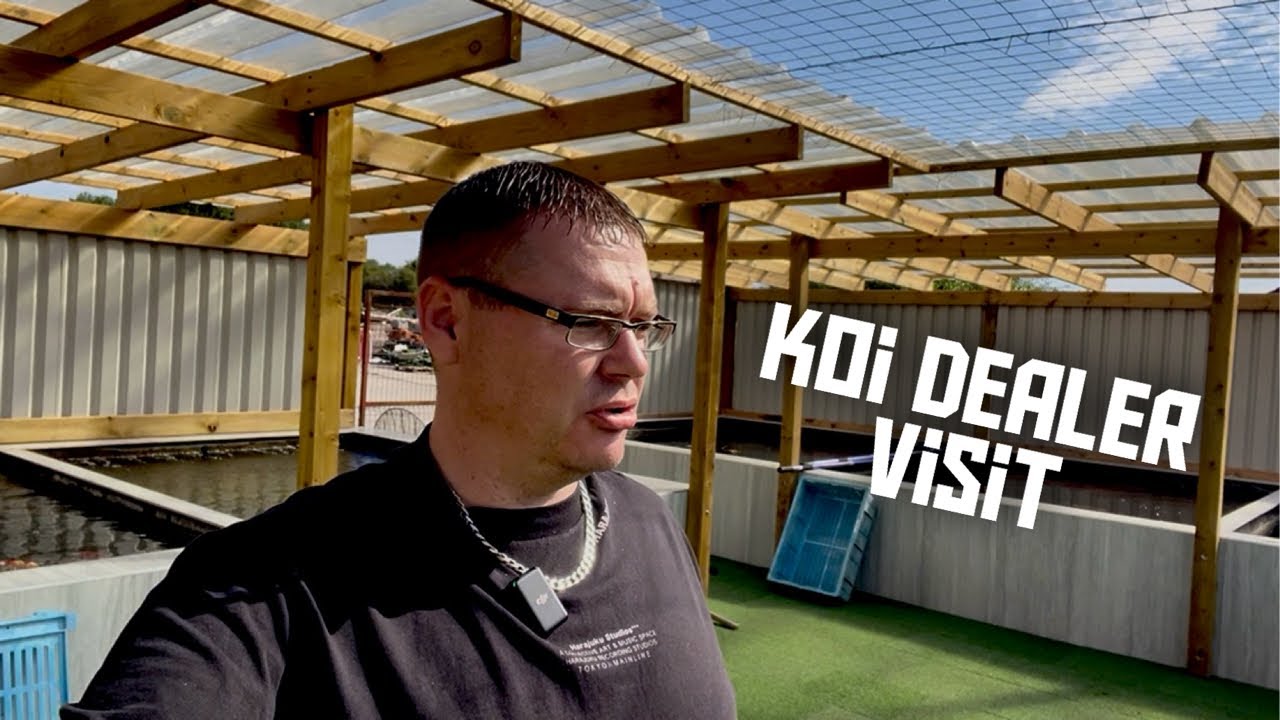 SURPRISE AT THE KOI DELERS BRAND NEW OUT DOOR KOI PONDS!!!!