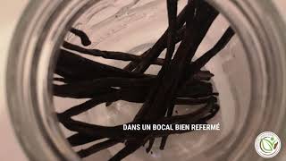 Comment bien conserver les gousses de vanille?