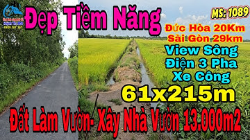 Nhà vườn Long An | Đất vườn giá rẻ view sông | Diện tích: 13.000m2 (61x215m) Tân Long, Tây Ninh