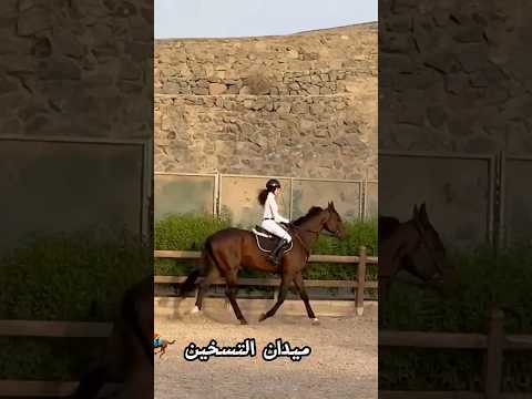 لحظات البطولة مع جوري في بطولة قفز الحواجز الفلوق كامل في القناة اكسبلور خيل ترند 