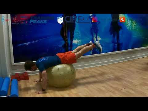 Gym ball reverse hyper extension