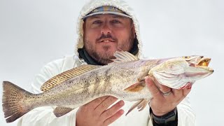 Targeting Speckled Trout in areas with no current ~ Speckled Trout Fishing