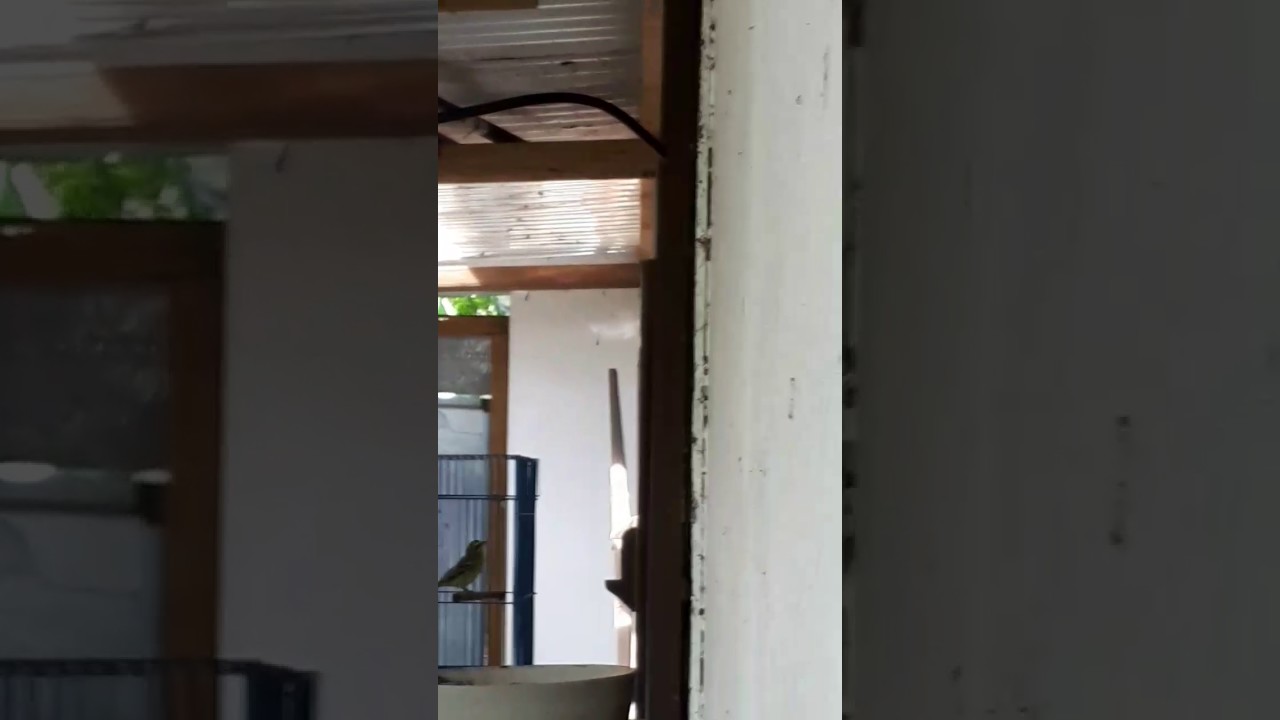 Serin pays st Phillips