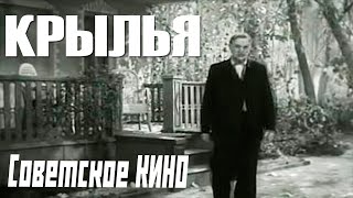 Крылья (1956) Советское Кино Архив Истории Ссср
