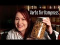 Herbs for Dampness -What Chinese herbs can be used for damp problems?