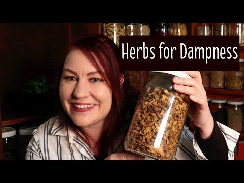 Video: Herbs For Moderately Damp Places
