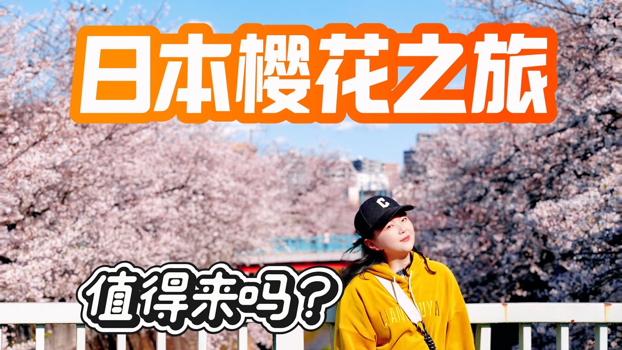 日本樱花之旅值得来吗？是难民还是浪漫？实拍东京三天6个赏樱地日本