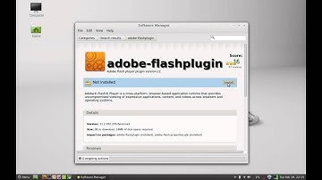 Install Adobe Flash Player On Linux Mint