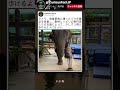 ゆっくりなのに、この歩き方は感動する
