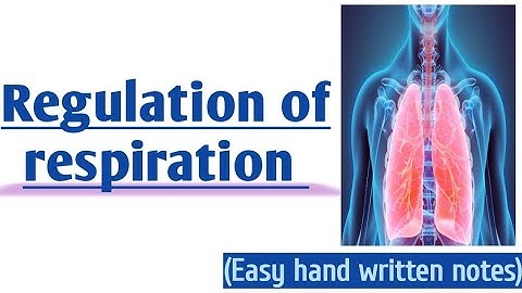Nervous and chemical regulation of respiration l Urdu lecture l learn with aroosa waheed