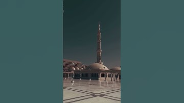ولا تكونوا كالذين نسوا الله فأنساهم أنفسهم القارئ#محمد_ايوب