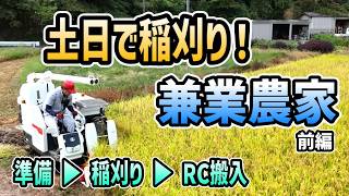 [Rice Harvesting] If it’s sunny, you’ve gotta harvest! But tomorrow’s looking like… [2-Row Combin...