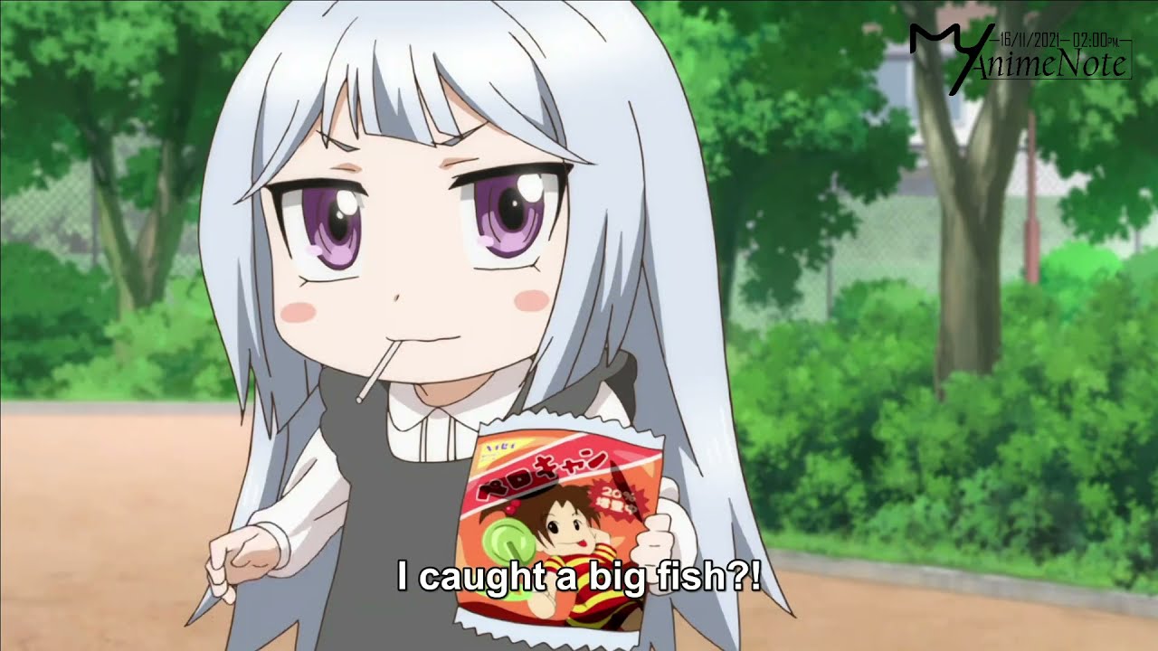 I Caught a Big Fish?!