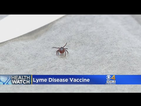 HealthWatch: Lyme Disease Vaccine