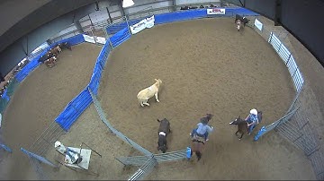 Big Sky Ranch Sorting Saddle Series Finals - Open HC - Round #2 - Ride #4