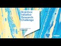 BrainBox Initiative Research Challenge