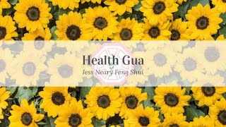 The Bagua Map: Health Gua