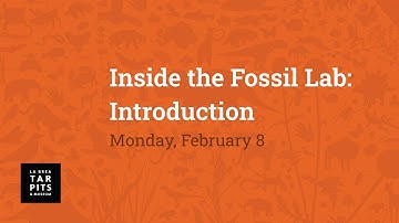 Inside the Fossil Lab: Introduction