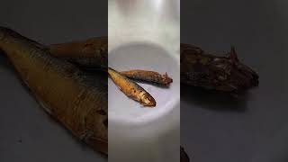 Ulam Na Isda shorts ofwlife foodie trendingshorts