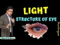 Structure of Human Eye | Light Class 8 Science | CBSE | NCERT